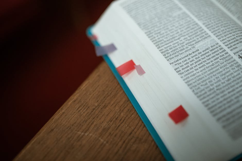 Free stock photo via Pexels