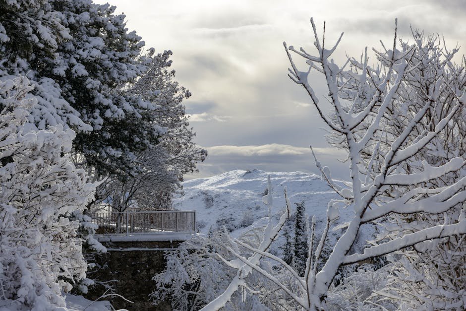 Snowy winter morning view through window with cozy indoor light therapy setup